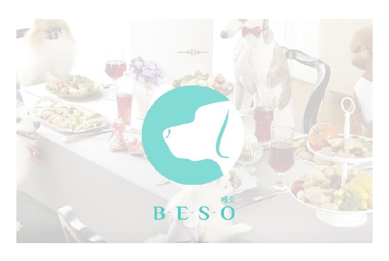 beso logo.JPG